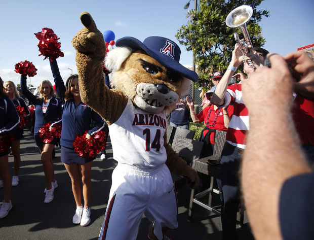 NCAA Tournament: Arizona Wildcats